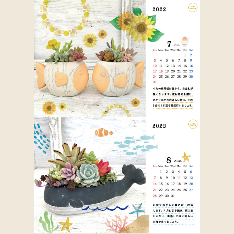 多肉植物カレンダー