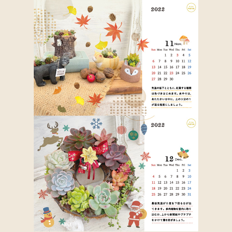 多肉植物カレンダー