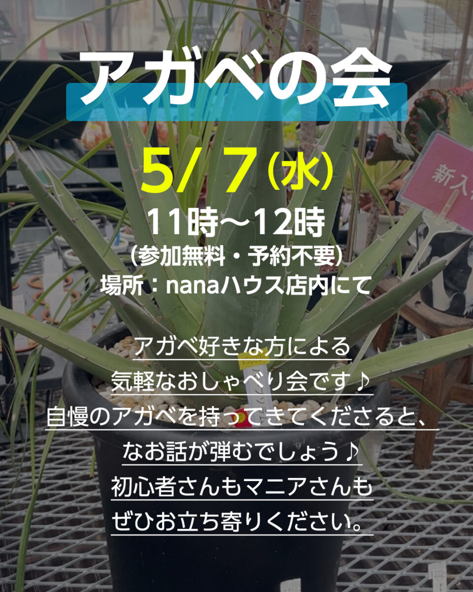 アガベの会
