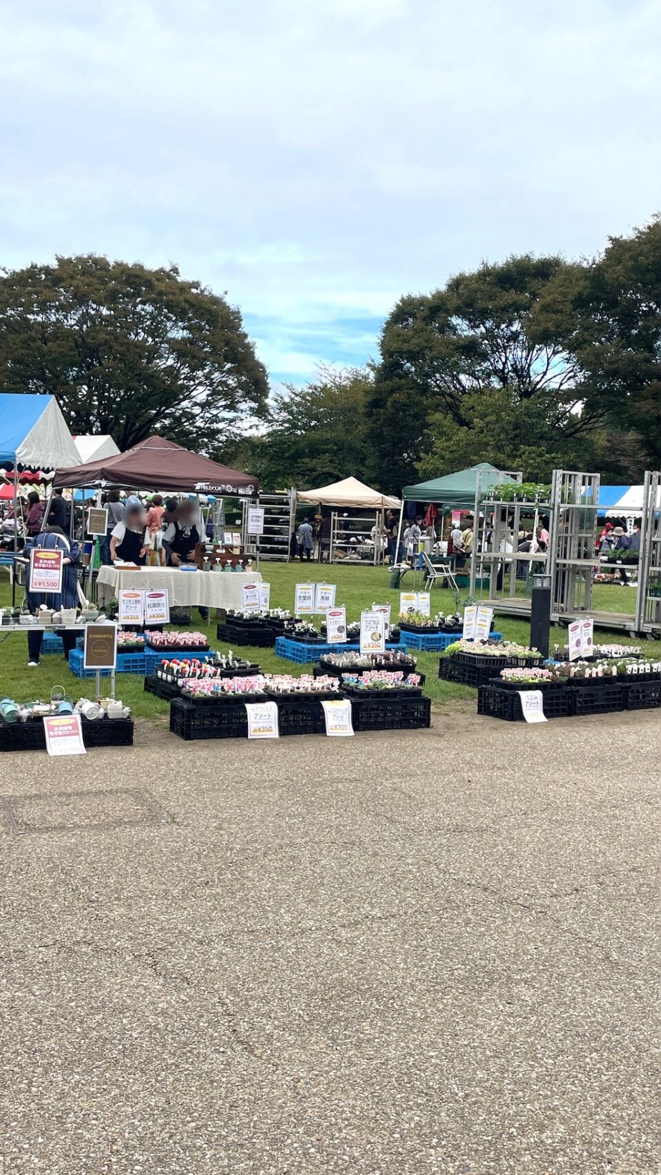 緑と花の百科展(富士市)販売の様子