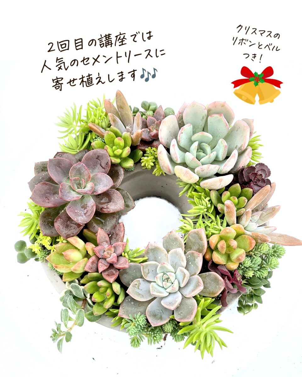 小鹿老人福祉センター 多肉植物の寄せ植え講座