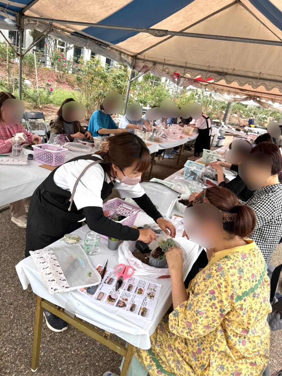 多肉植物寄せ植え講習会の様子