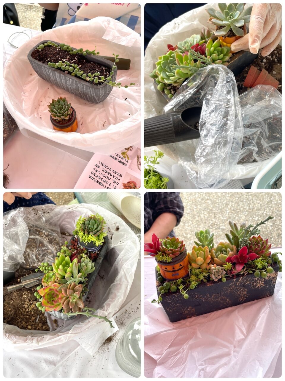 多肉植物寄せ植え講習会の様子 皆さん上手に完成しました