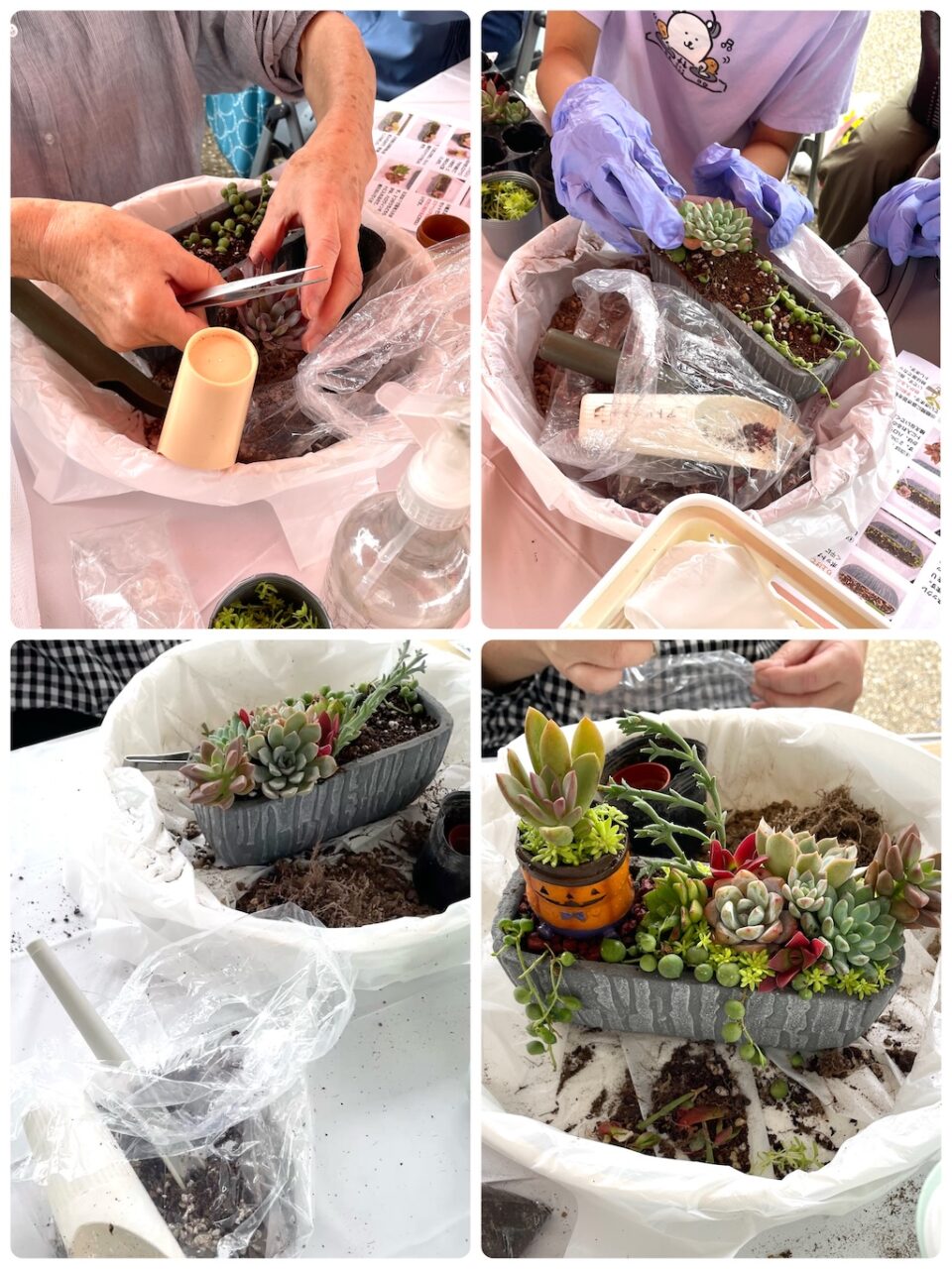 多肉植物寄せ植え講習会の様子 皆さん上手に完成しました