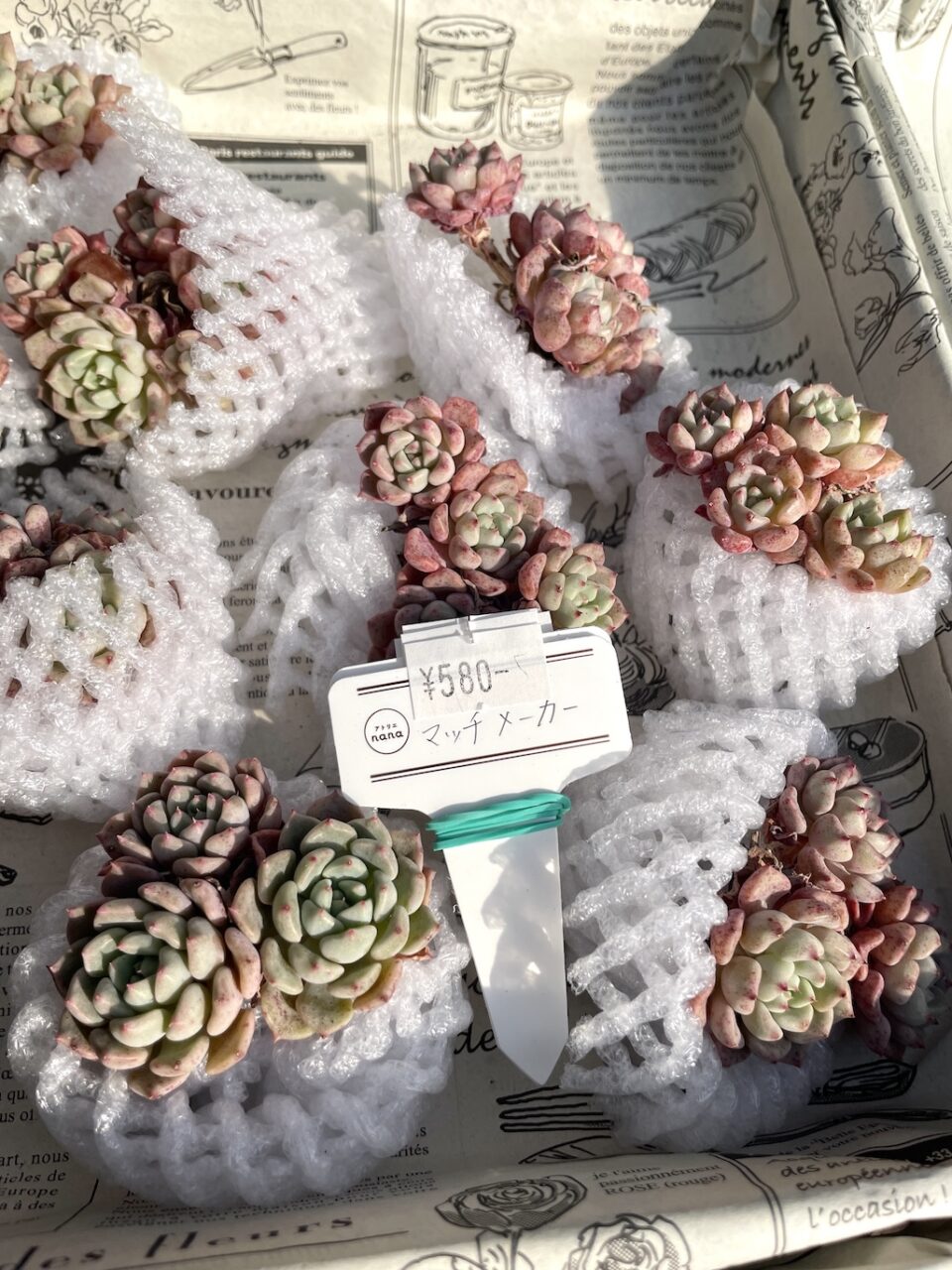 マッチメーカー