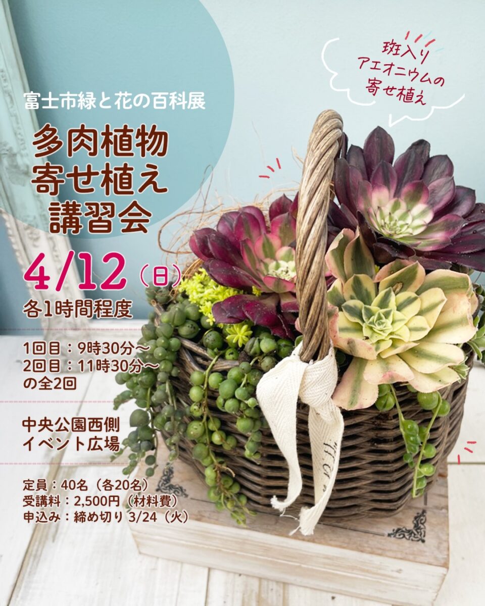緑と花の百科展 多肉植物寄せ植え講習会　アエオニウムの寄せ植え