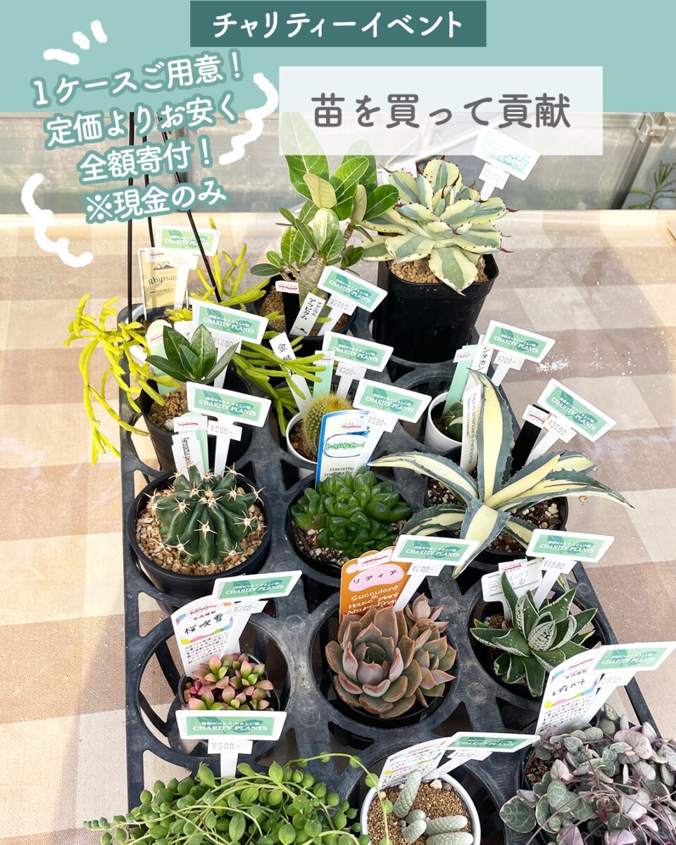 チャリティープランツ 苗を買って貢献