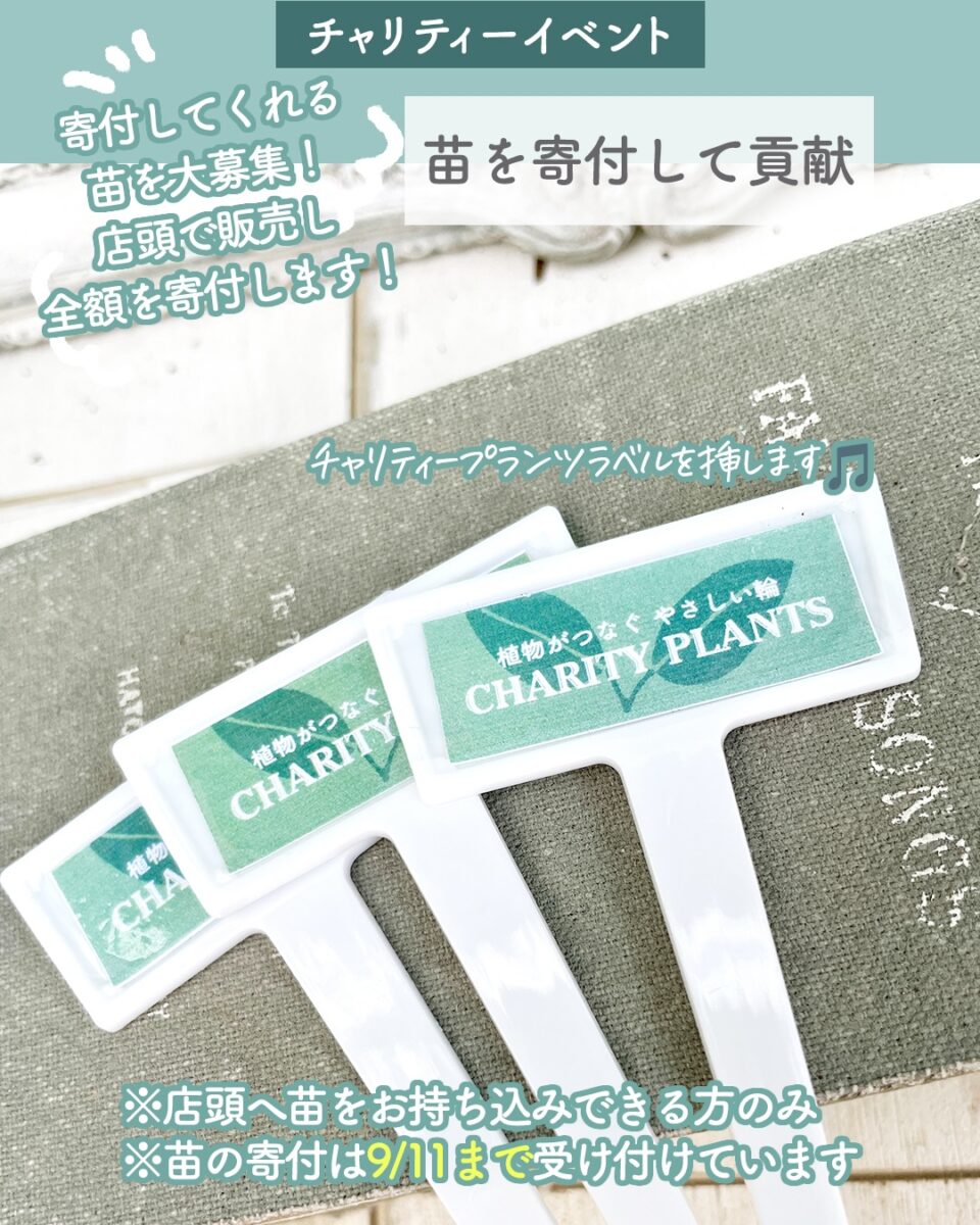 チャリティープランツ 苗を寄付して貢献