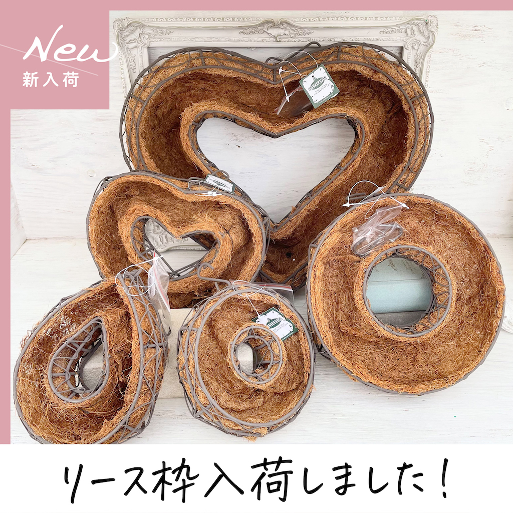 リース枠入荷しました アトリエnana